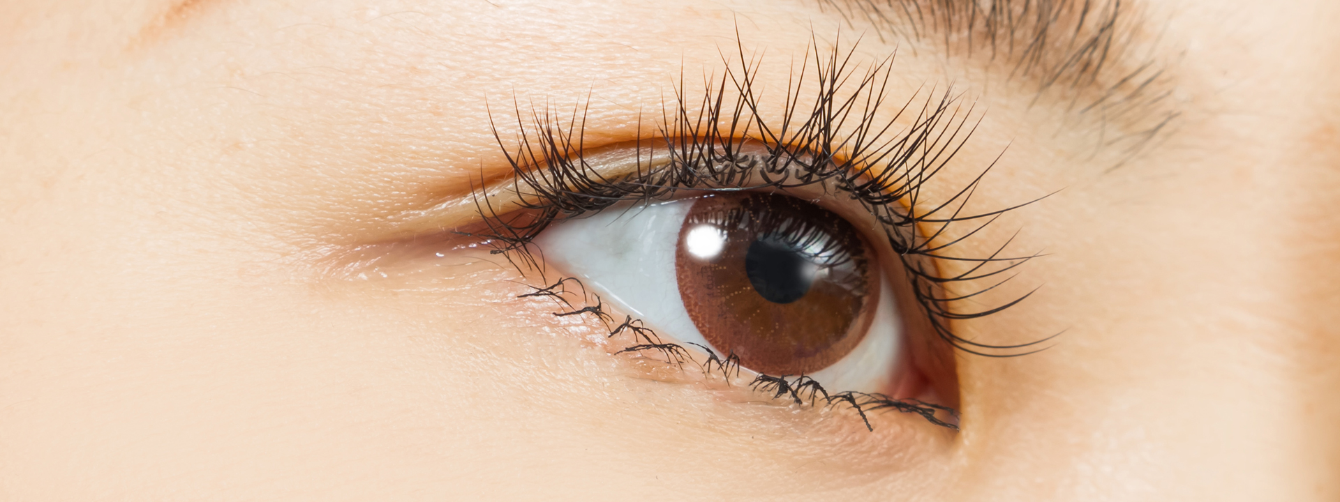 イオンモール神戸南店内の光景